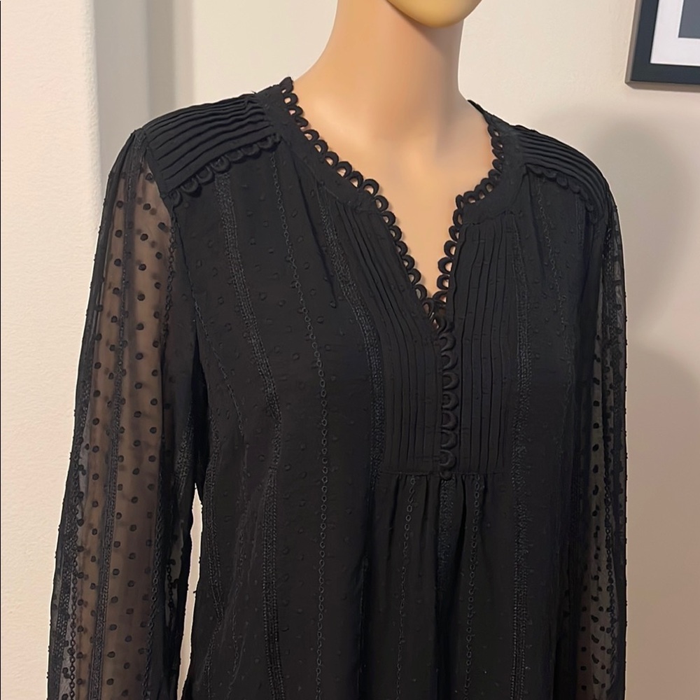 Daniel Rainn True Black Sheer-Sleeve Blouse